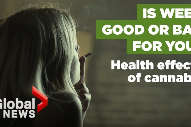 Everything we know about the health effects of marijuana