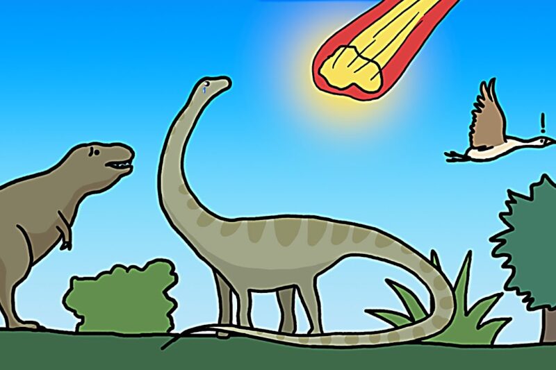 How Many Mass Extinctions Have There Been?
